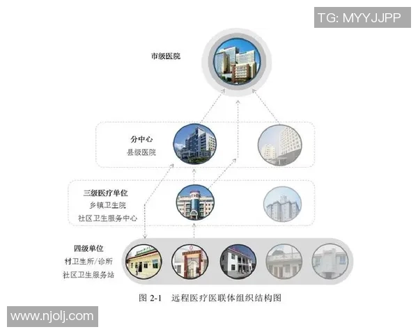 智能医疗助力健康管理创新，推动精准诊疗与远程医疗服务融合发展