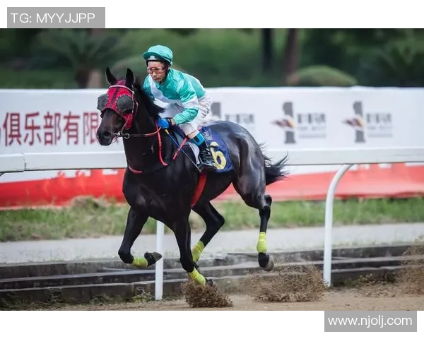 武汉羽毛球队的速度之谜：揭开羽毛球巨献的秘密与魅力