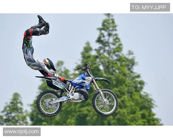 上海极限运动队的奋斗与突破之路全景揭秘