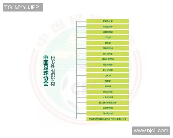 足协改革新路径探索推动中国足球持续发展与国际化战略深化