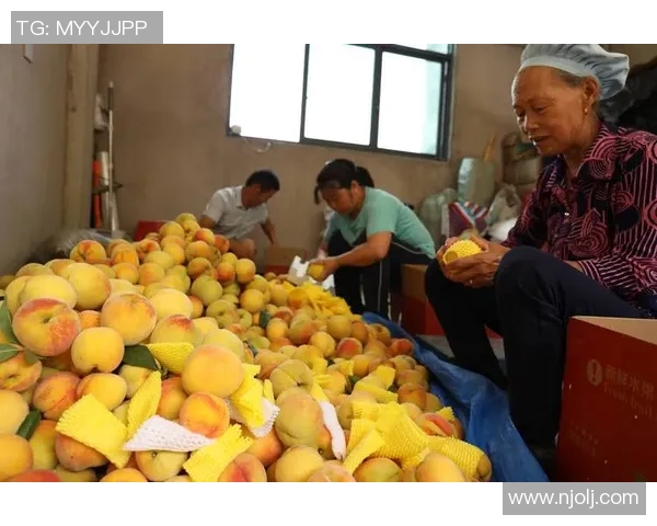 秋风送爽果园采摘季节，亲手采摘新鲜水果体验自然之美
